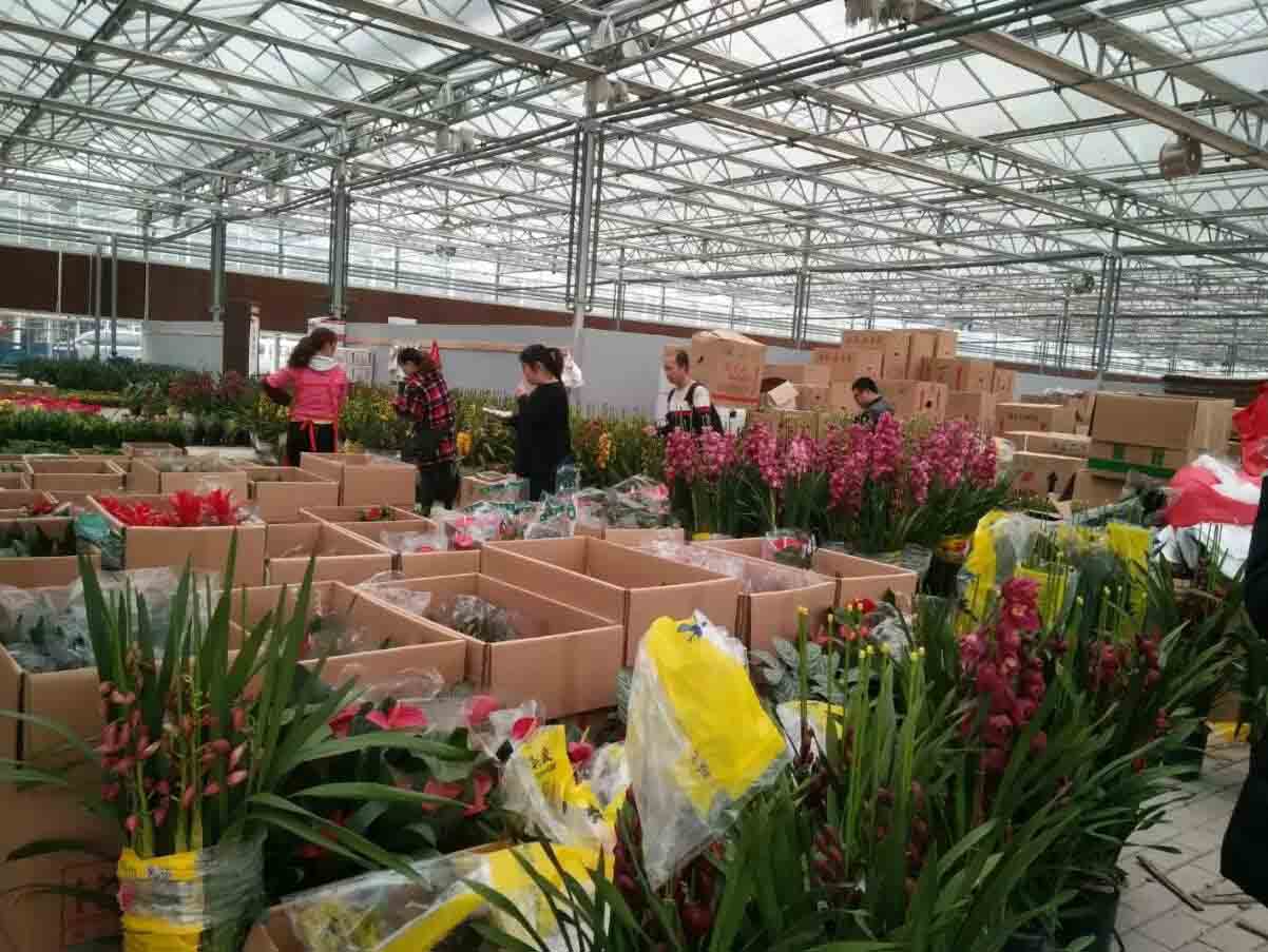 淺談現代四川溫室大棚都有著哪些用途呢？